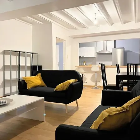 Superbe Aeroport Et Gare Apartment *